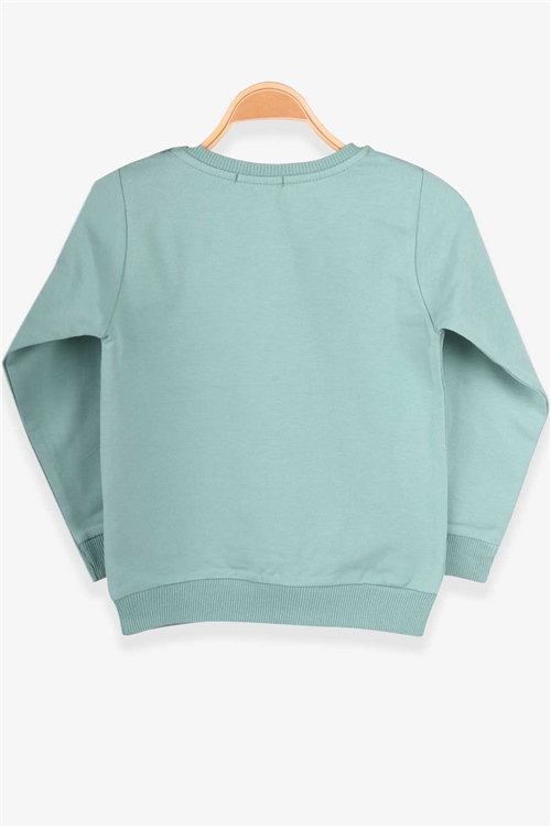 Breeze Erkek Çocuk Sweatshirt Mint Yeşili (1.5-5 Yaş)