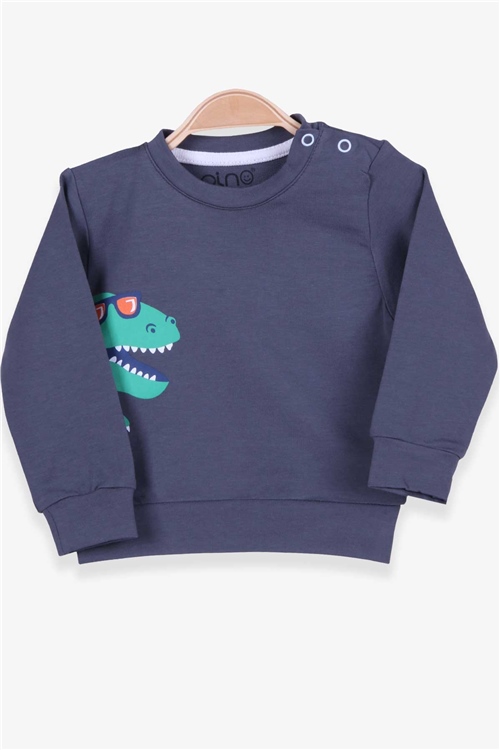 Pino Erkek Bebek Sweatshirt Dinozor Baskılı Füme (4 Ay-1.5 Yaş)