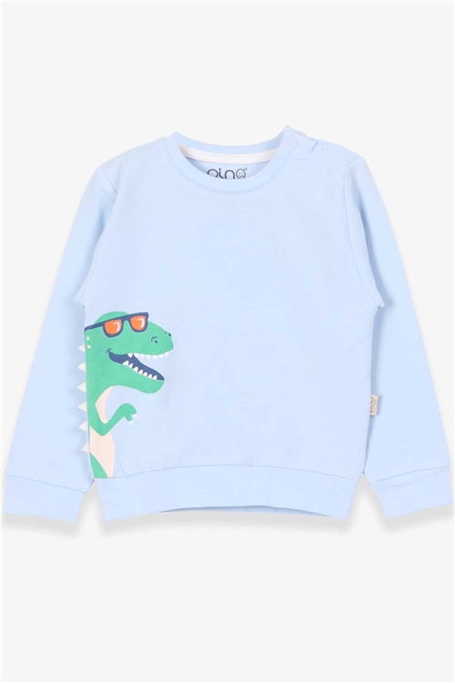 Pino Erkek Bebek Sweatshirt Dinozor Baskılı Açık Mavi (4 Ay-1.5 Yaş)